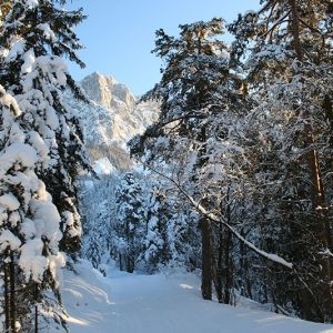 Feldenkrais - Schneeschuhwandern