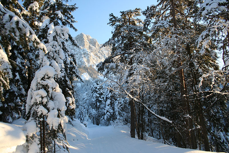 Feldenkrais und Schneeschuhwandern  27.-30. Januar 2022