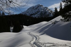 Feldenkrais - Schneeschuhwandern Großes Walsertal