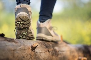Feldenkrais und Wandern