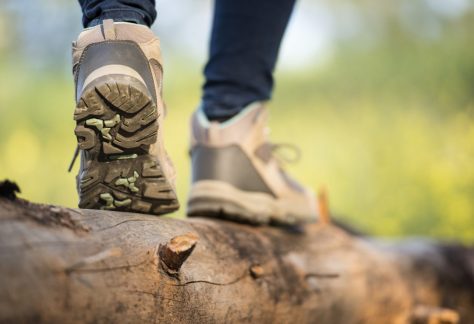 Feldenkrais und Wandern