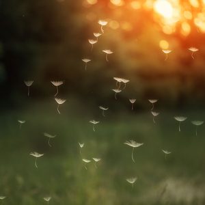 Feldenkrais Bewegung mit Leichtigkeit